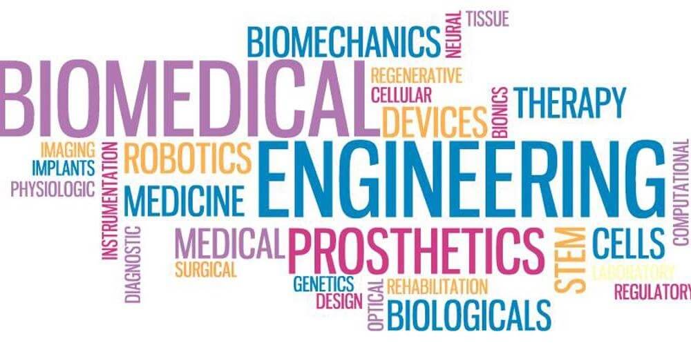 Featured image for “Network with Biomedical Engineering Alumni! (October 19th, 7-8pm)”
